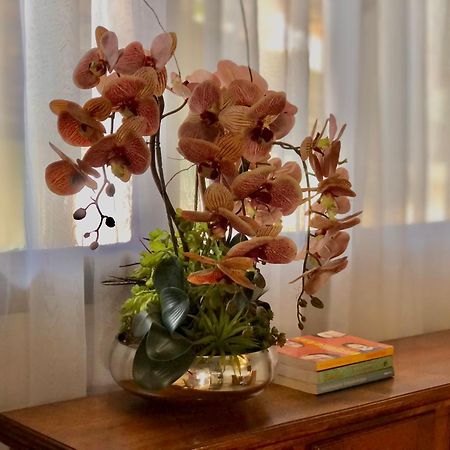 Pousada Jardins Santarém Kültér fotó